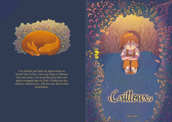 Cailloux couverture